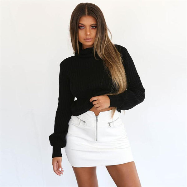 Turtleneck Knitted Crop Sweater