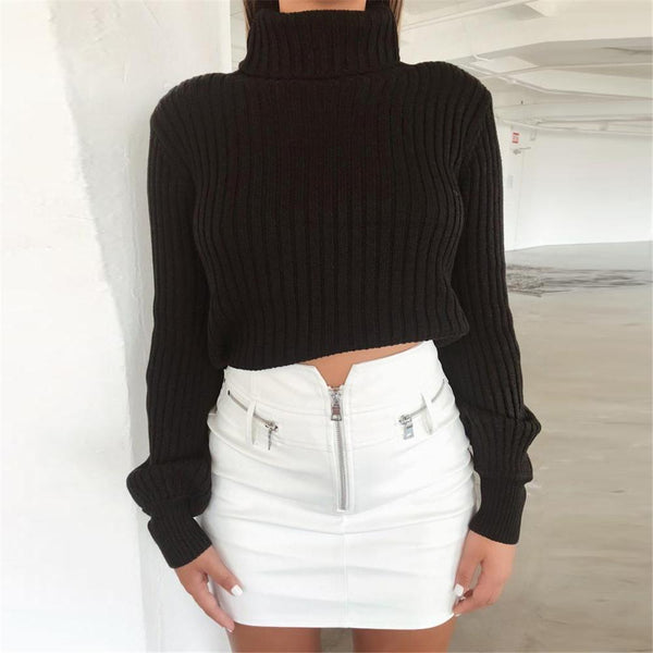 Turtleneck Knitted Crop Sweater